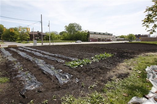 urban farming. jpg